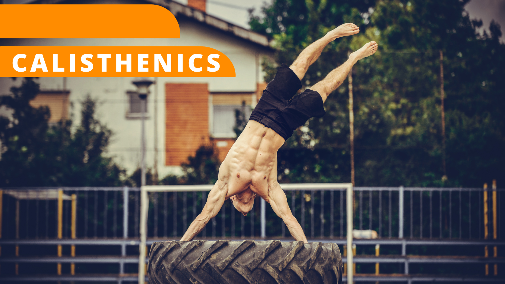 1 calisthenics
